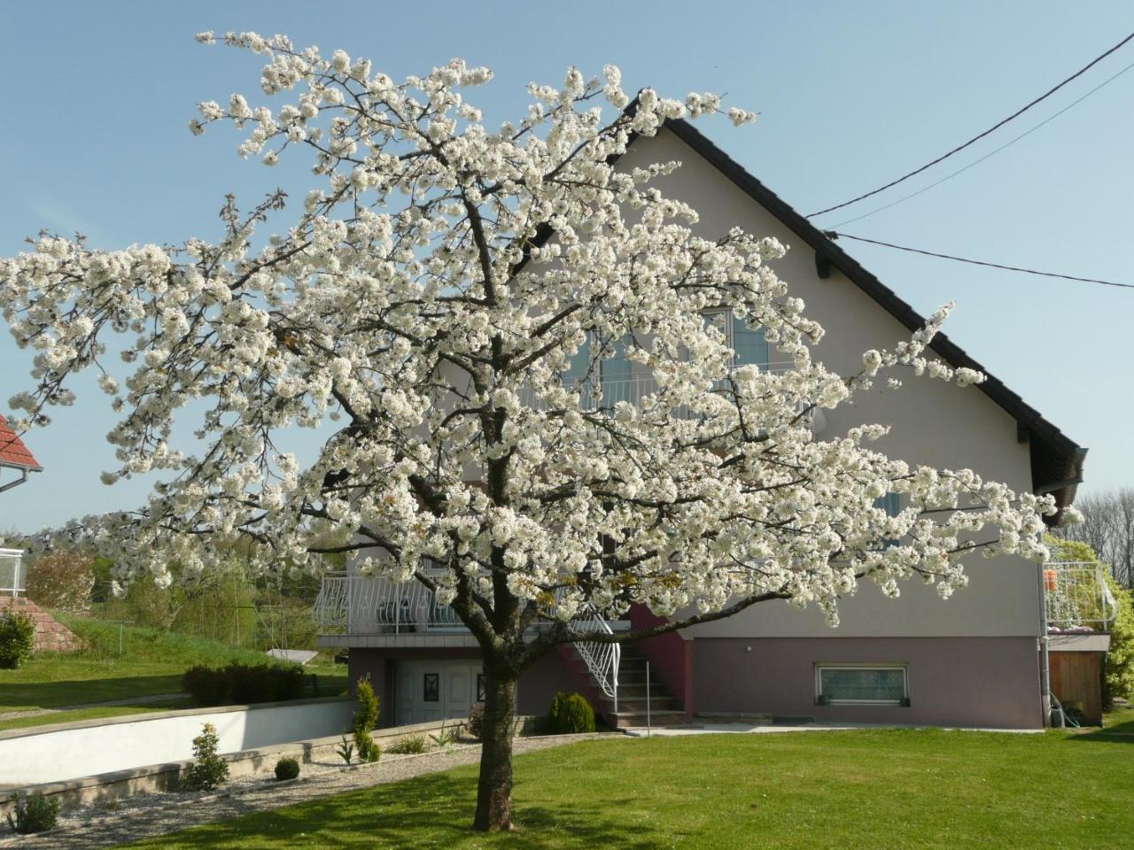 Chez Anny Et Jean Au Mittelbuehl-Reichshoffen Bed & Breakfast ภายนอก รูปภาพ