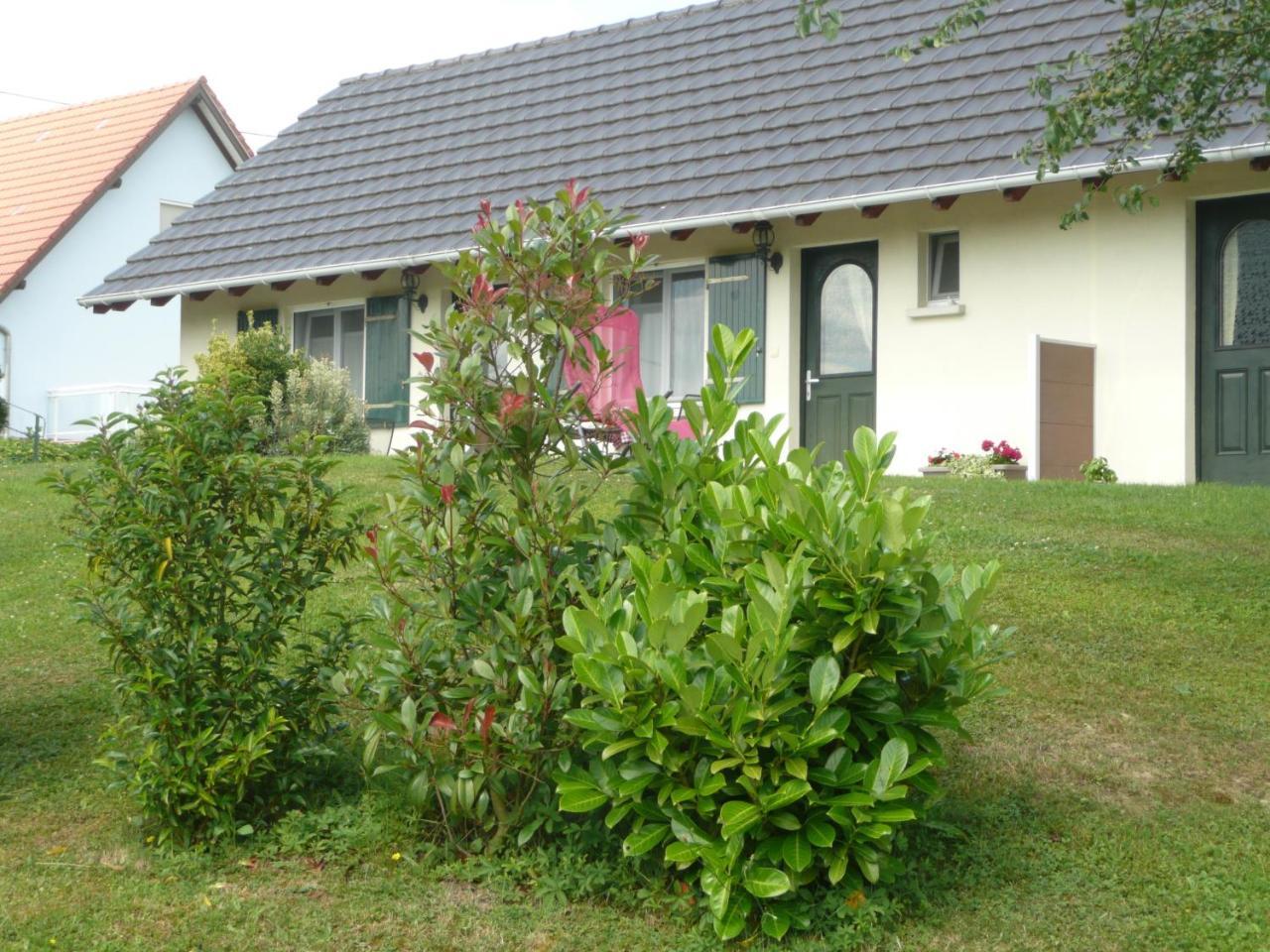 Chez Anny Et Jean Au Mittelbuehl-Reichshoffen Bed & Breakfast ภายนอก รูปภาพ